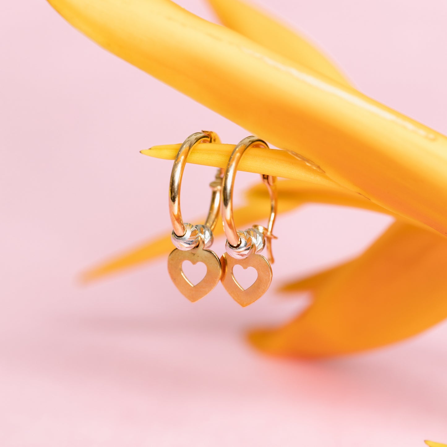 Heart Hoops